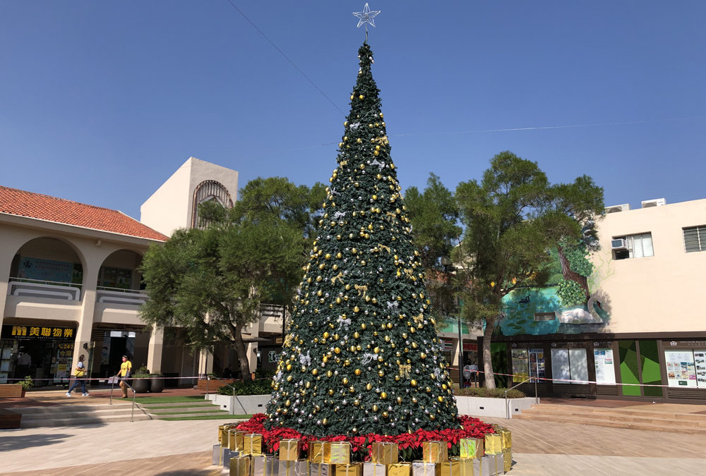 Christmas Tree @Fairview Park 2020